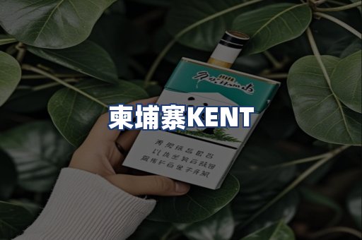 柬埔寨KENT